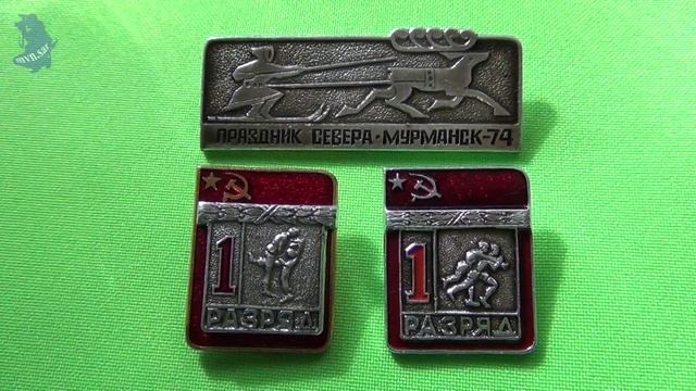 значки СССР.40-й Праздник севера Мурманск 1974г.1. разряд борьба Дзюдо.1.разряд борьба Вольная. #703