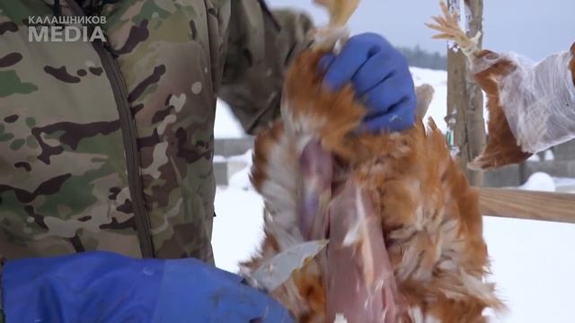 Патроны кольцевого воспламенения: практический отстрел по биоцелям