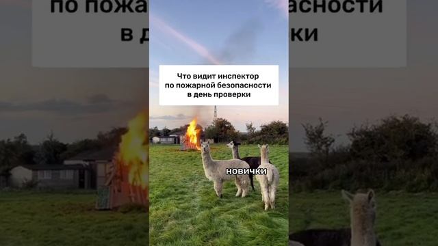 Руководители предприятий, защитите своих сотрудников и бизнес!