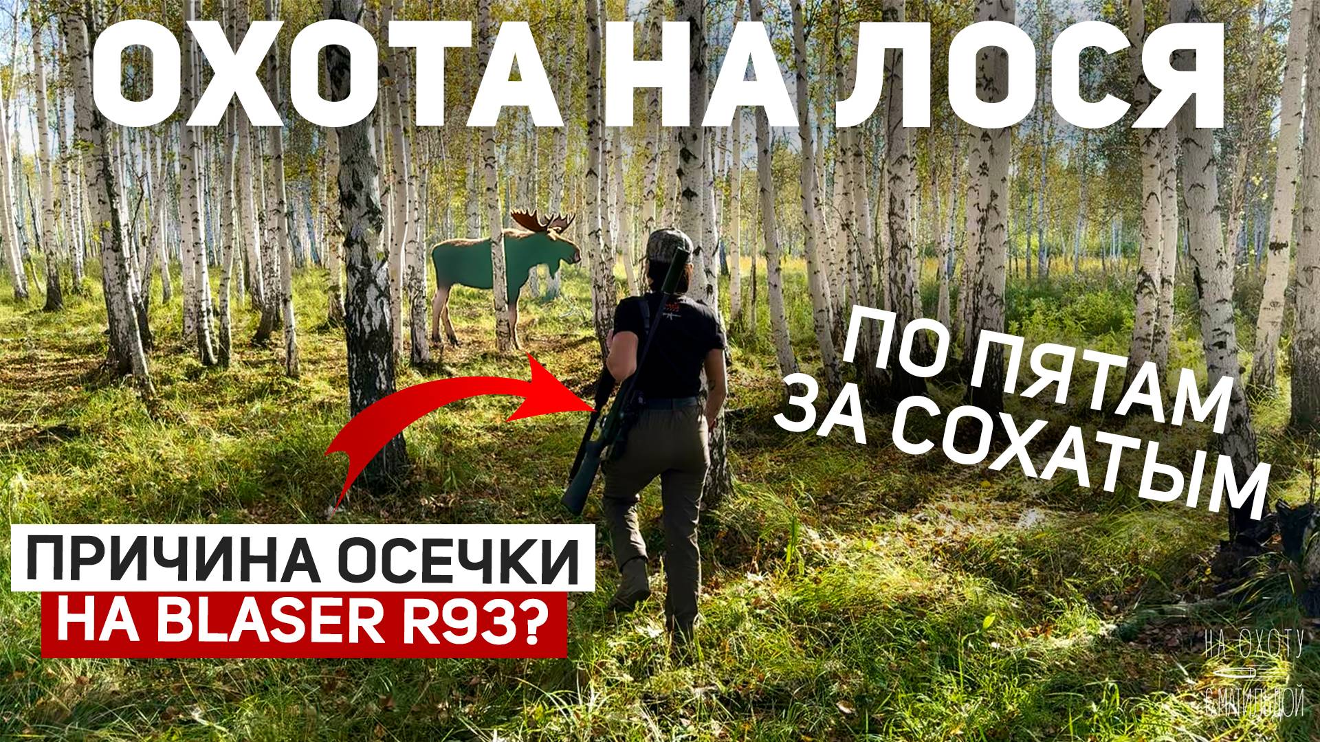 Почему произошла ОСЕЧКА НА Blaser R93? | Охота на Лося 🫎| Напала на след сохатого смотреть онлайн