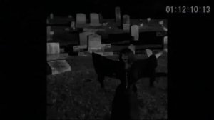 Post-Punk, Darkwave, Coldwave 2024 playlist. VOL 2 #synth #minimal #gothic #synth #newwave #vampire