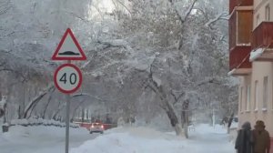 Зимний иней в морозА. Томск.