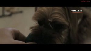 Винилова плитка Vinilam  Отзывы клиентов