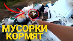 Что МОЖНО найти НА ДАЧНЫХ мусорках?