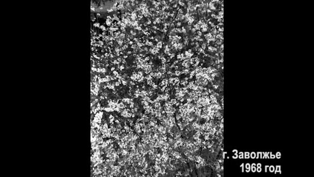 Фотолетопись Заволжья. 1968 год смотреть онлайн