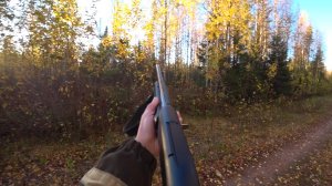 РЯБЧИК ПРИЛЕТЕЛ НА МАНОК И БЫЛ ДОБЫТ