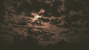 Девид Ковердейл  Whitesnake  Stille Of The Night