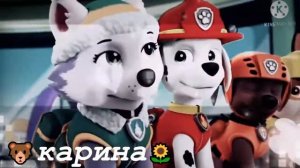 🌨маршал +эверест 🌧(я не забуду) Для 🥥skye🍉(paw patrol)