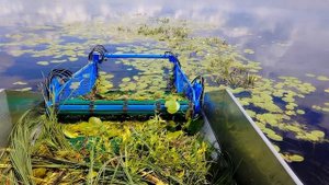 Лодка косилка для камыша водной растительности.