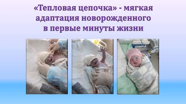 Добро пожаловать в НИИ смотреть онлайн