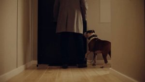 Брусника. Потому что Новый год!