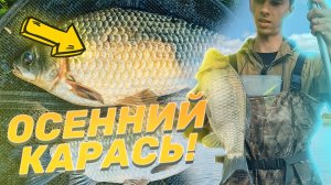 ПОИСКОВАЯ РЫБАЛКА КАРАСЯ ОСЕНЬЮ! ЛОВЛЯ КАРАСЯ В БЕЛАРУСИ! ОСЕННИЙ КАРАСЬ