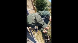 щука на воблер.ели ели