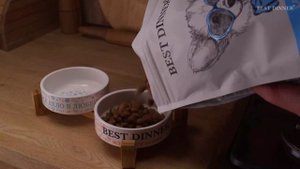 Best Dinner - корма для кошек и собак, Марка №1 России