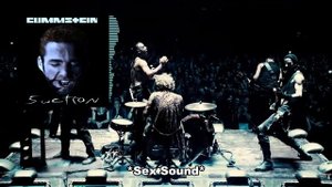 Rammstein - Buck Dich (Right Version) (Gachi Remix) (Live from Paris)