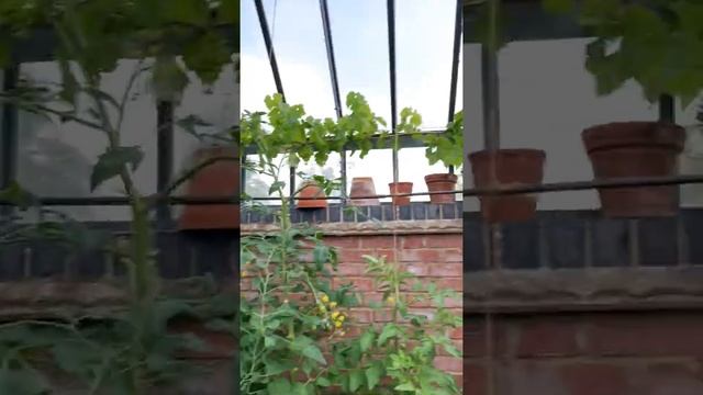 Ashley's greenhouse 2020 смотреть онлайн