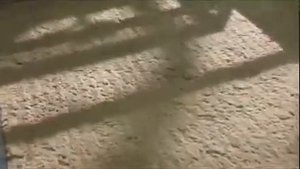 Производство MDF и HDF плит для ламината