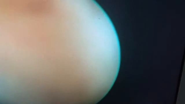 Turp смотреть онлайн