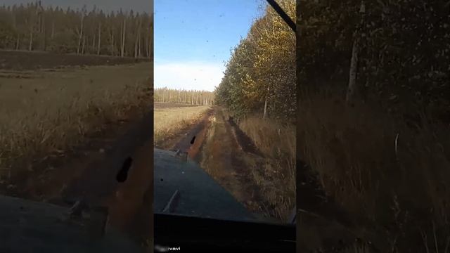 #2023 #поездка #газ 69#осень 2023