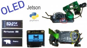 11-Управляем OLED по I2C на Jetson с помощью Python