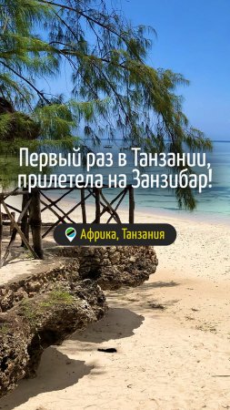 Первый раз в Танзании. Прилетела на Занзибар!