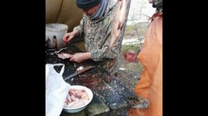 Отдых и рыбалка на водохранилище