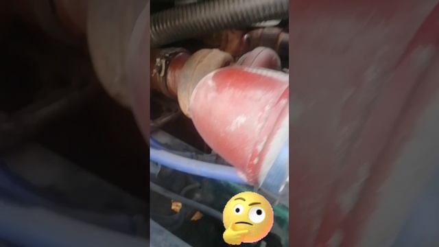 Video.Guru_20240929_153115214.mp4