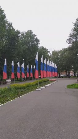 24.6.24 Вологда. Сквер Кировский