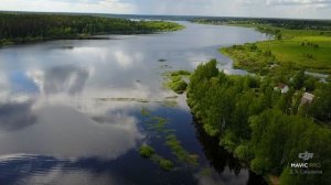 2017-06-11 Крутцы