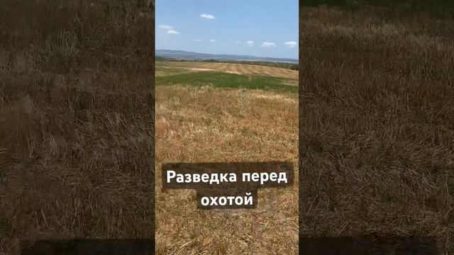 Делал разведку перед охотой/ Сколько времени уделяете разведке ? смотреть онлайн