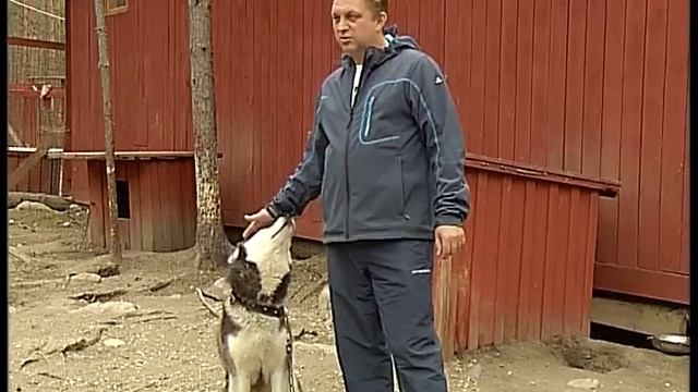 Кудама: Открытая дверь смотреть онлайн