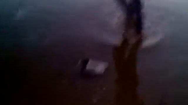 Влад и купание на рассвете смотреть онлайн