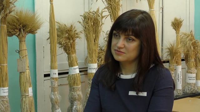 Сельские хлопоты 06.03.2021 - Урожай смотреть онлайн