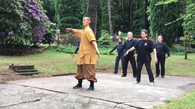 易筋經 · Yi Jin Jing (Muscle Tendon Change Classic) Qi Gong смотреть онлайн