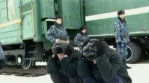 Кайеркан Сергей - КОЦЫ НОВЫЕ НА МНЕ