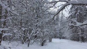 Счастливый Новый Год