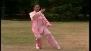 ТАЙЦЗИЦЮАНЬ 24 ФОРМА. 38(096)341-45-41 Тайцзи в Киеве www.TAICHI.at.ua