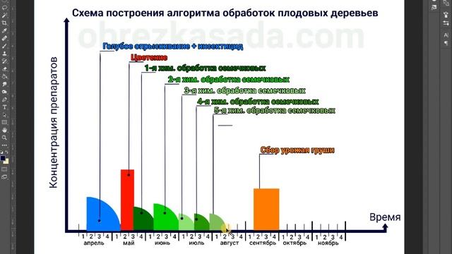 Обработка сада схема построения алгоритма 31 03 2023