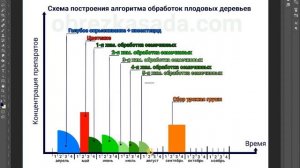 Обработка сада схема построения алгоритма 31 03 2023