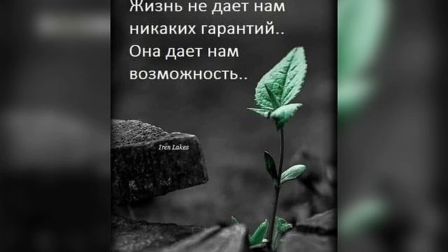 ✅Психология мысли: Просто хочу сидеть перед океаном…/23.05.23 07:01