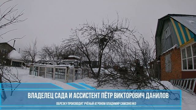 Мастер класс обрезка сада Чебоксары