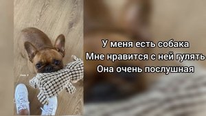 Саблиминал на собаку #собака #саблиминал #аффирмации