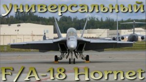 Универсальный солдат ВМФ США - F/A-18 Hornet