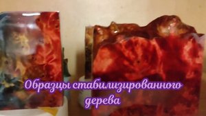 Стабилизированное дерево с окраской в два цвета