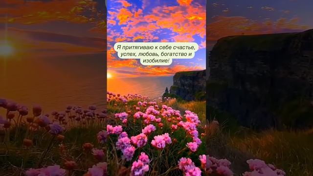 Я притягиваю к себе счастье, успех, богатство и изобилие! смотреть онлайн
