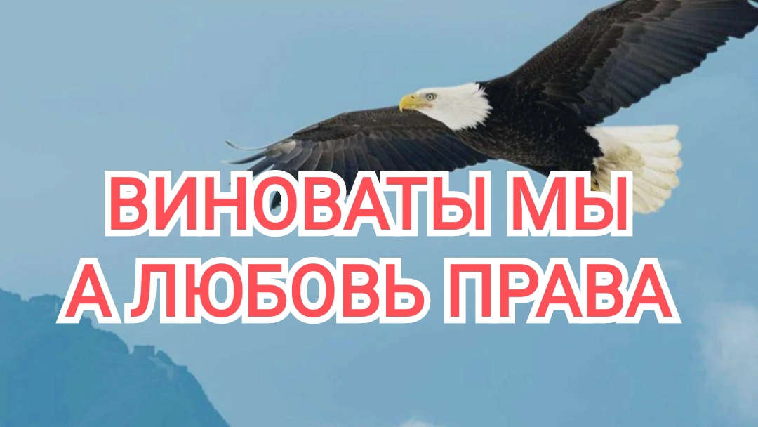 Город ВЛЮБЛËННЫХ ЛЮДЕЙ | Эту песню хочется слушать снова | Софико Кардава