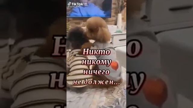 За друзей! смотреть онлайн