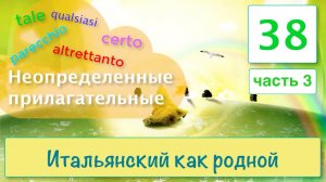 Неопределенные прилагательные TROPPO, TUTTO, QUALCHE, QUALSIASI – Итальянский как родной – 38/3