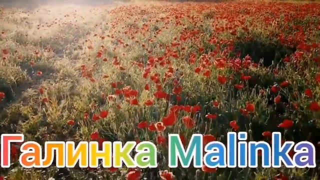 Деревенский дневник очень многодетной мамы /Алексей и кухня /Сын раскрыл тайны Побирухи /Обзор Влог