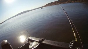 MaxFishing Кубок Чемпионов USAL 2024 - 1 тур (12 Дичка-Кудинов)